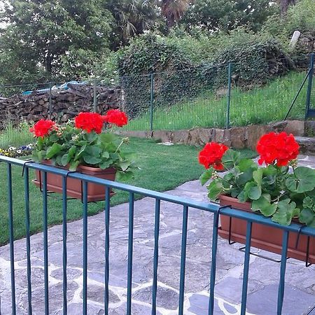 Vanni'S House كانوبيو المظهر الخارجي الصورة